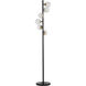 Misty 67.75 inch 40.00 watt Clear / Black Floor Lamp Portable Light